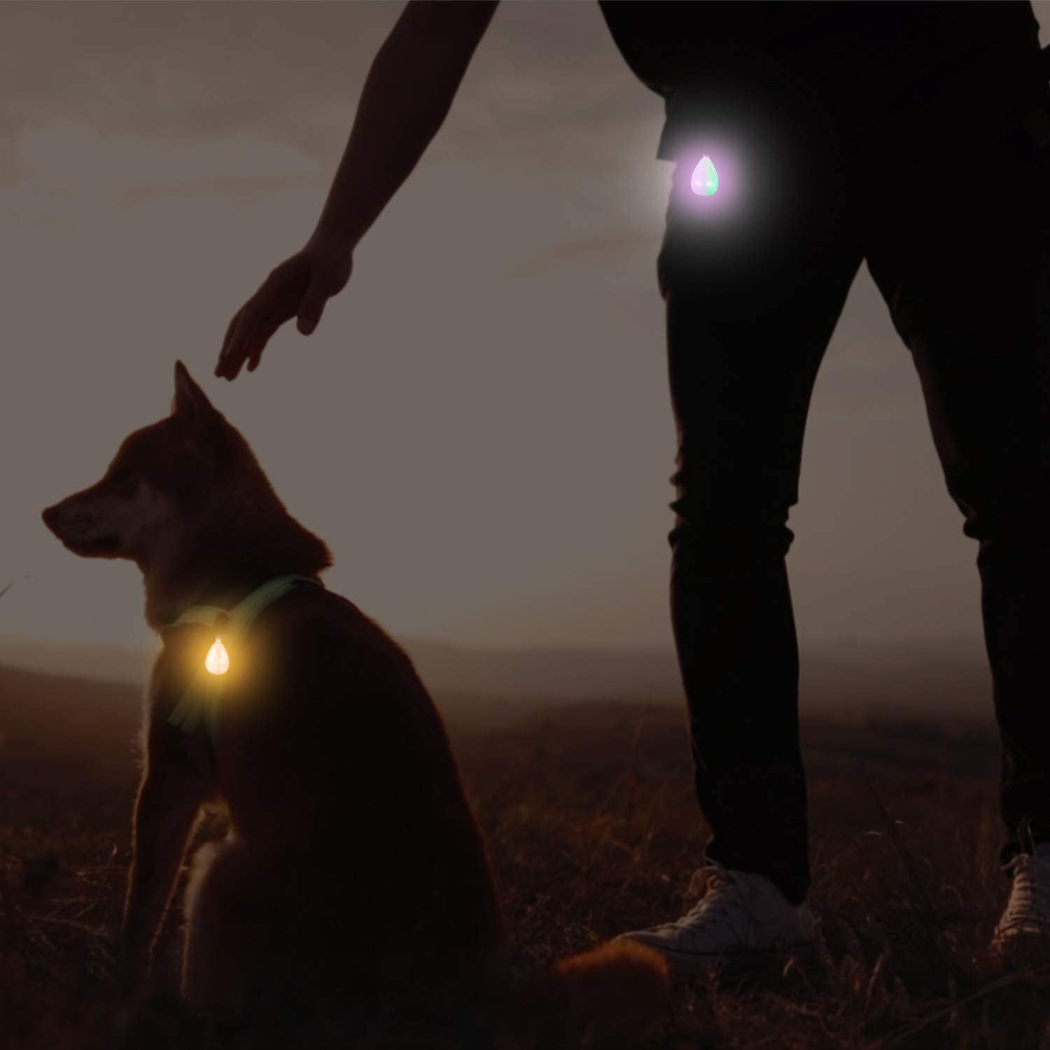 2-Pack Rechargeable Dog Lights