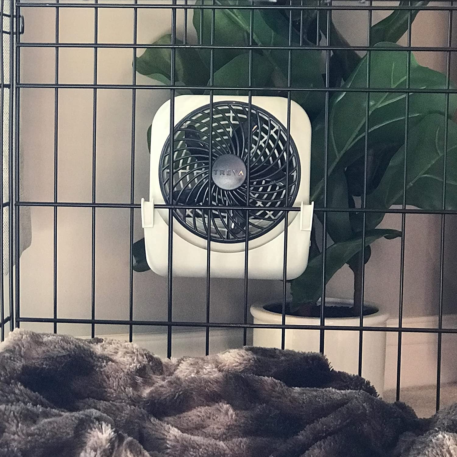 Dog Crate Fan