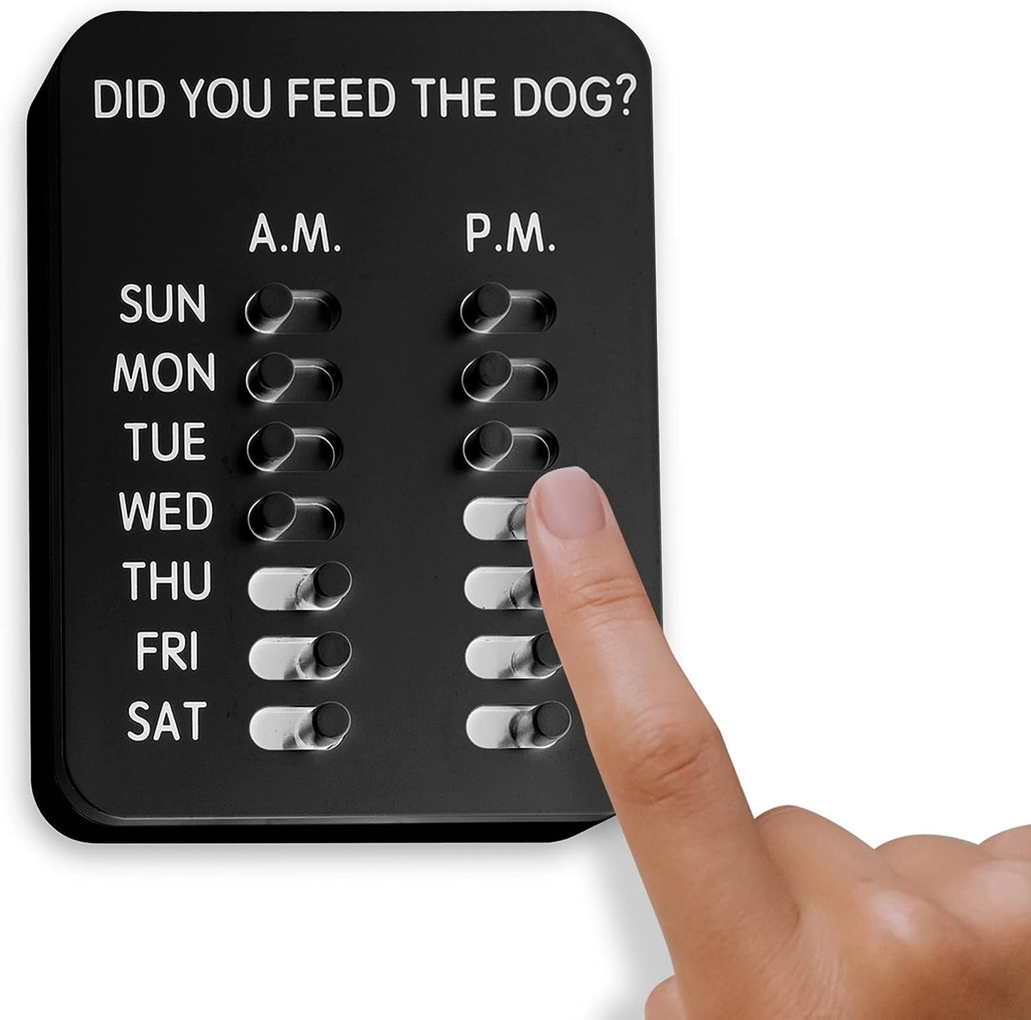 Modern Wall Mounted Dog Feeding Reminder