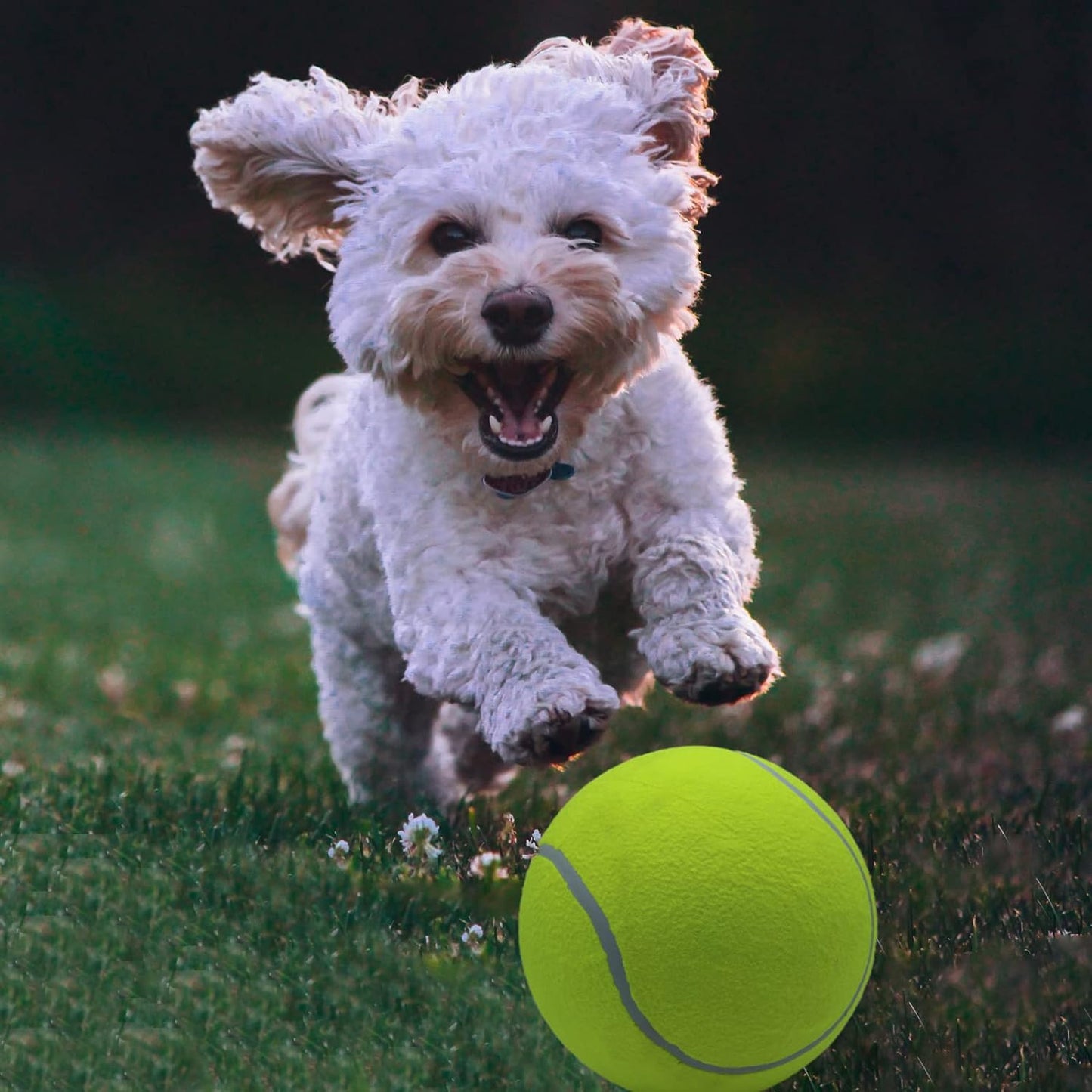 Oversize Giant Tennis Ball For Dogs - 9.5" 