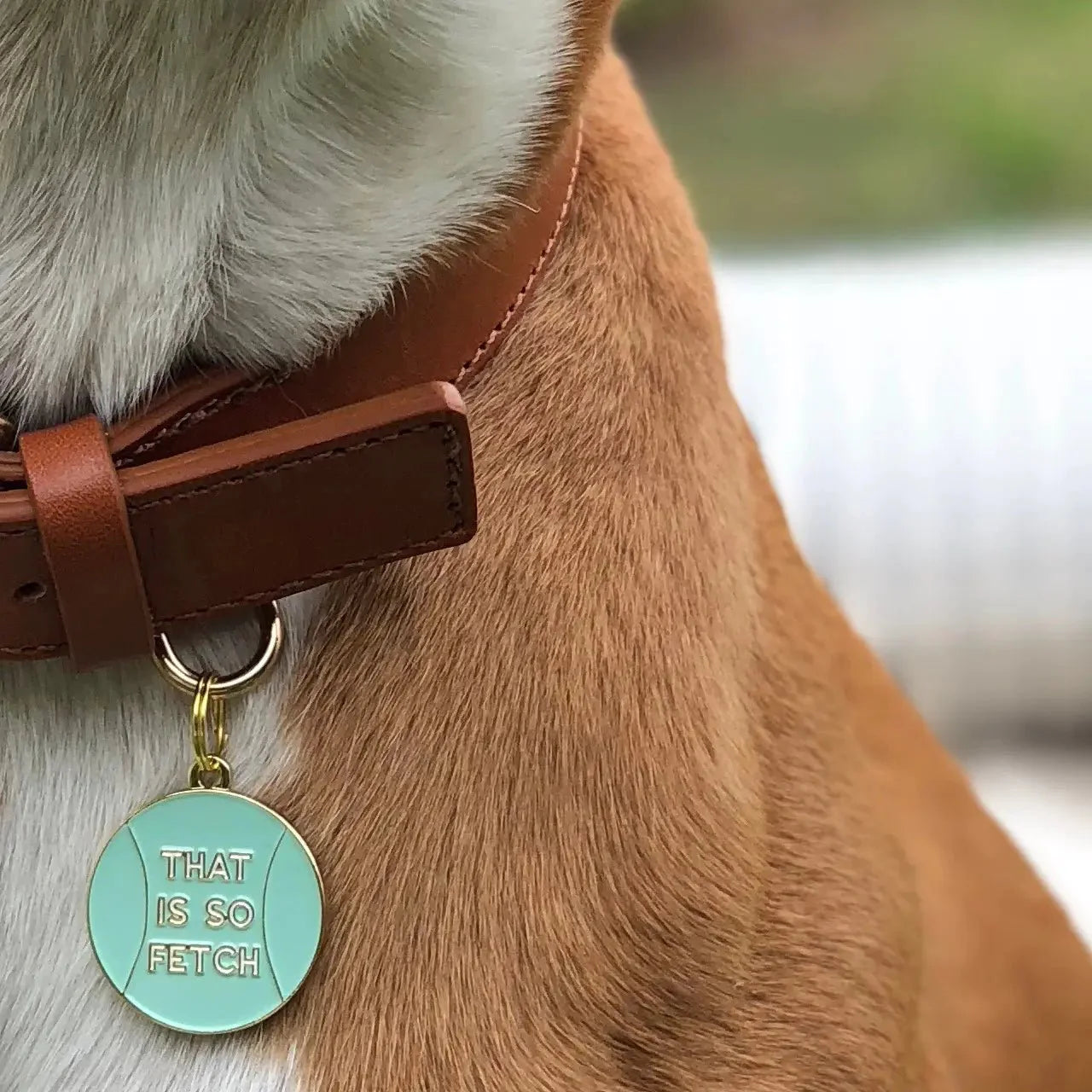 That Is so Fetch Dog ID Tag