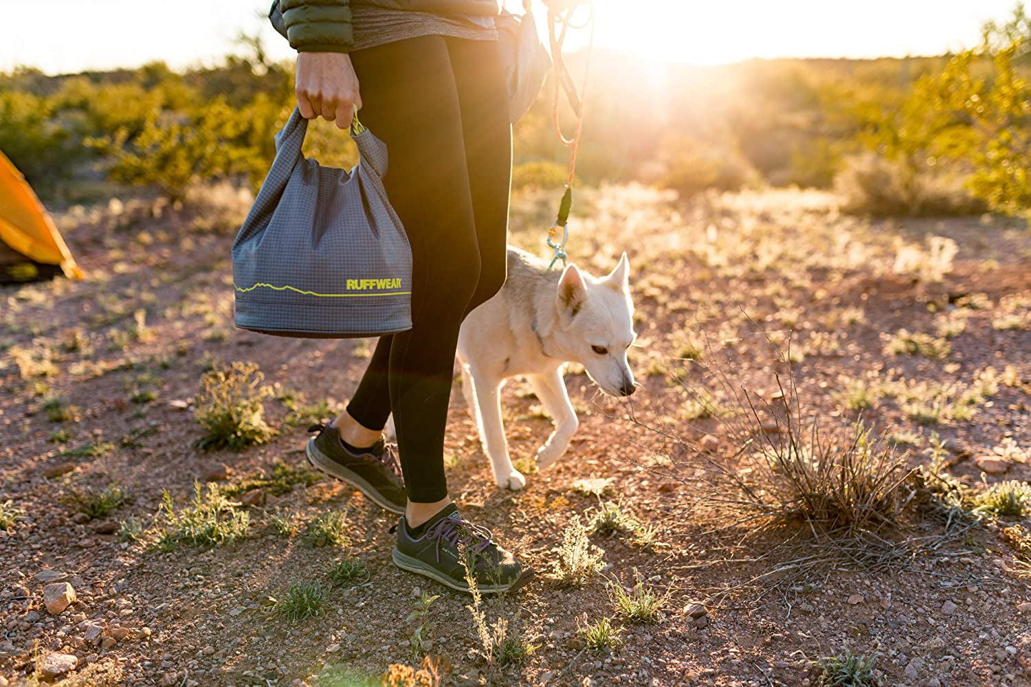 Modern Dog Food Storage