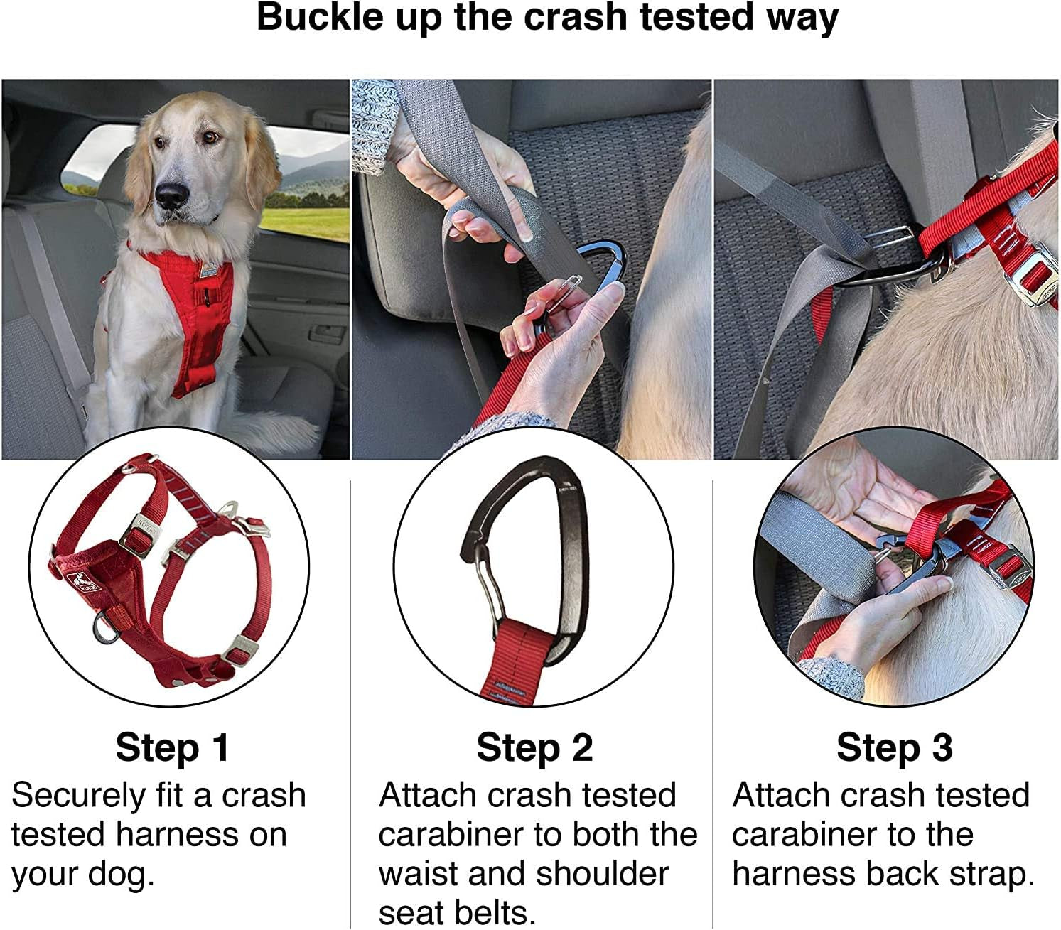 Dog Safety Seat Belt