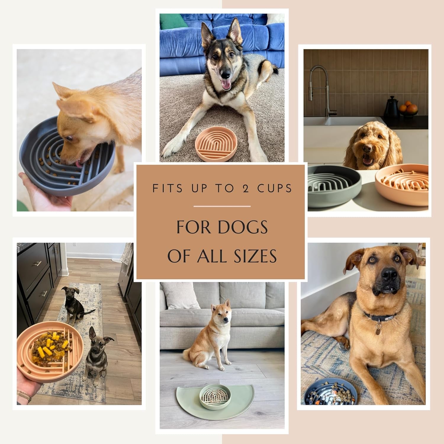 Boho Slow Feeder Dog Bowl