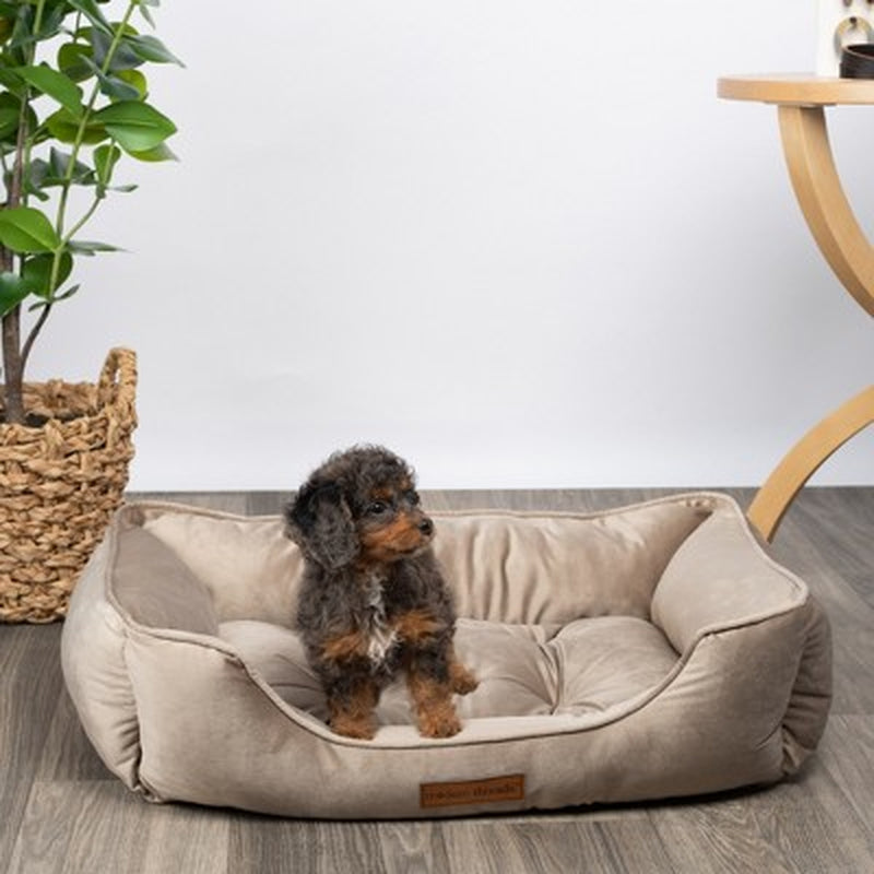 Modern Luxury Cuddler Dog Bed