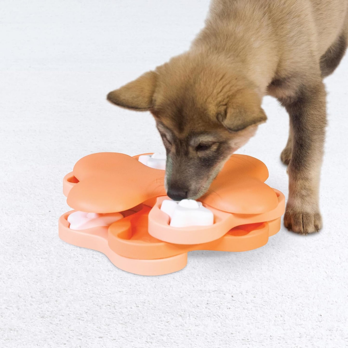 Tornado Puzzle Dog Toy