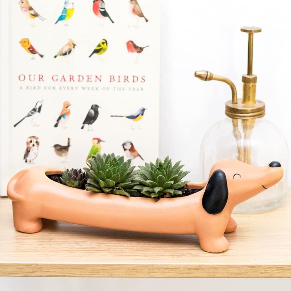 Dachshund Gifts as Daschund Weiner Dog Gifts for Women, Dachshund Planter, Planter for Succulents, Planters & Pots, Unique Planter, Novelry Planter (Orange)