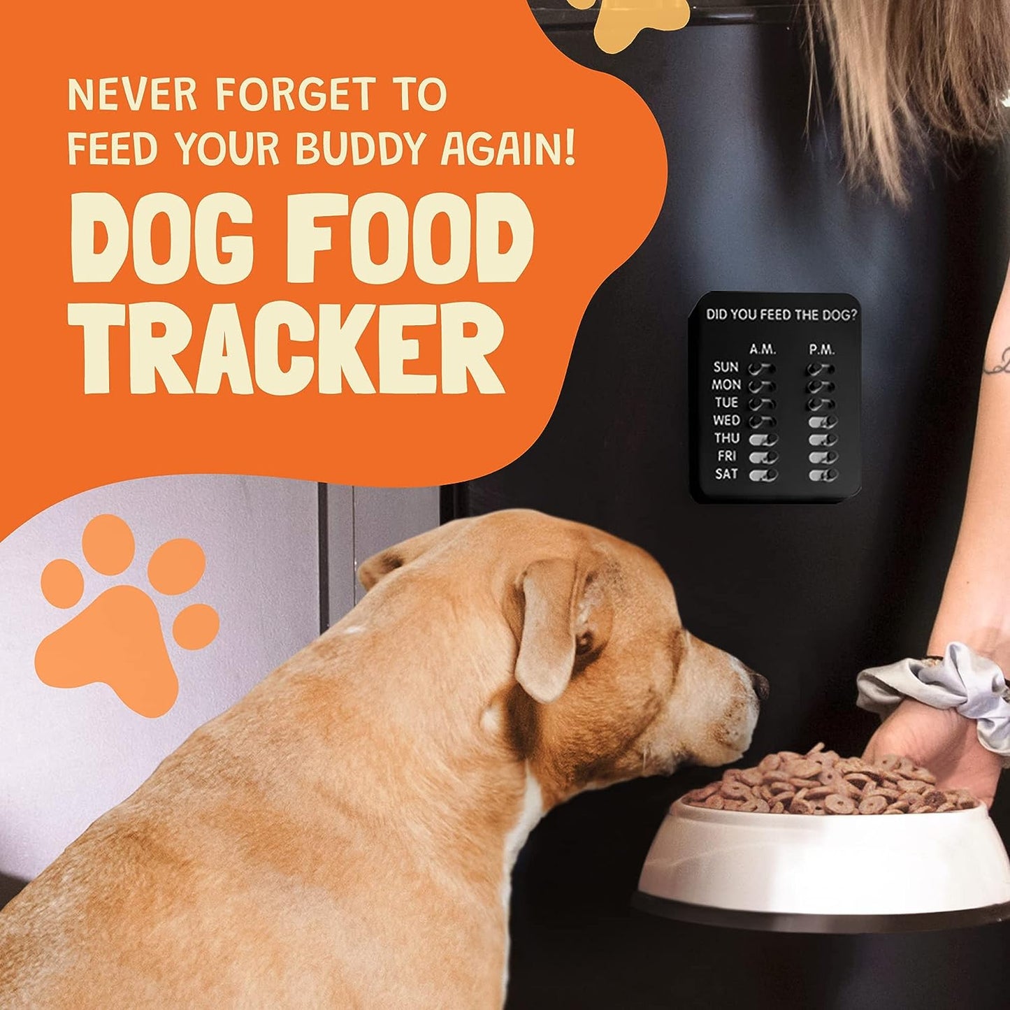 Modern Wall Mounted Dog Feeding Reminder