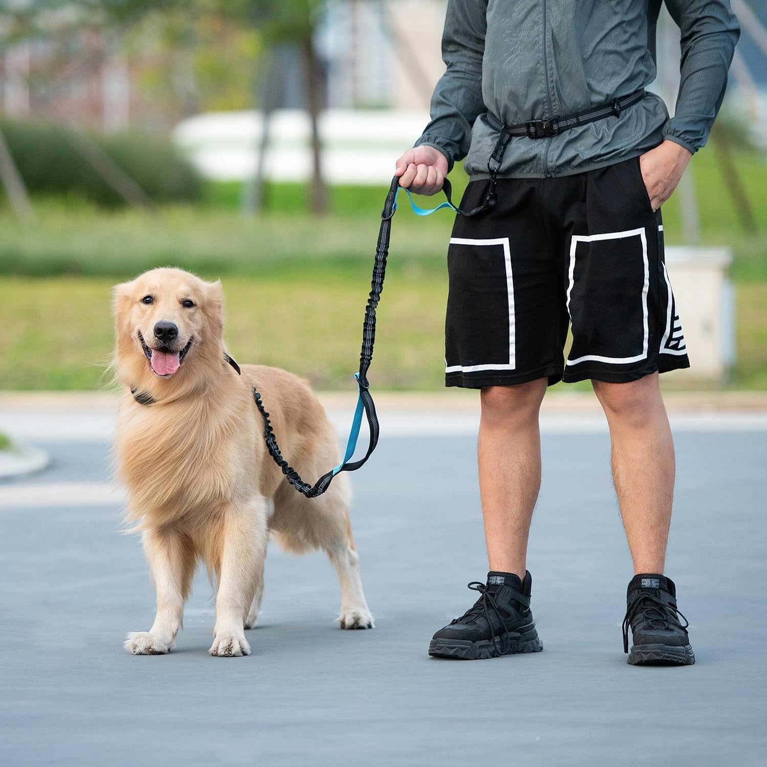 Hands Free Dog Leash with Zipper Pouch