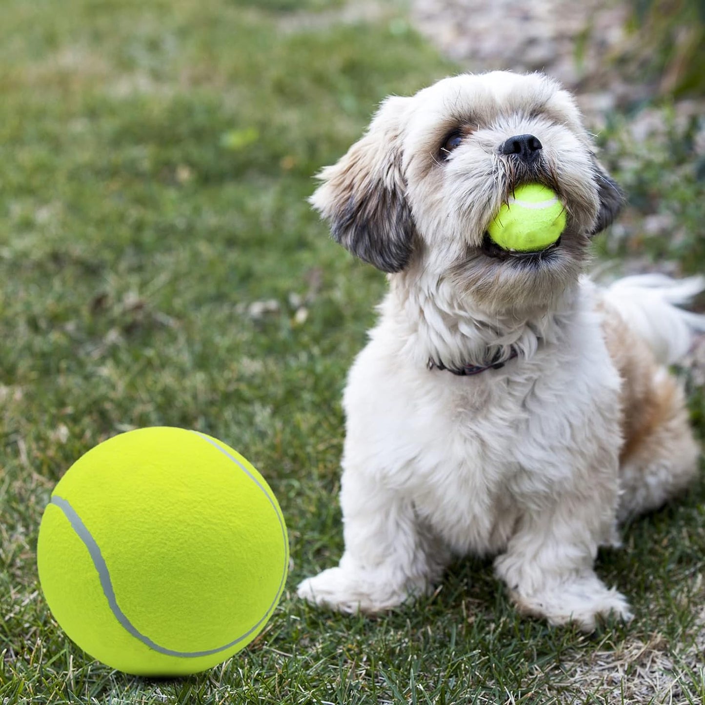 Oversize Giant Tennis Ball For Dogs - 9.5" 