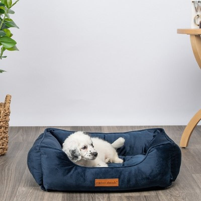 Modern Luxury Cuddler Dog Bed