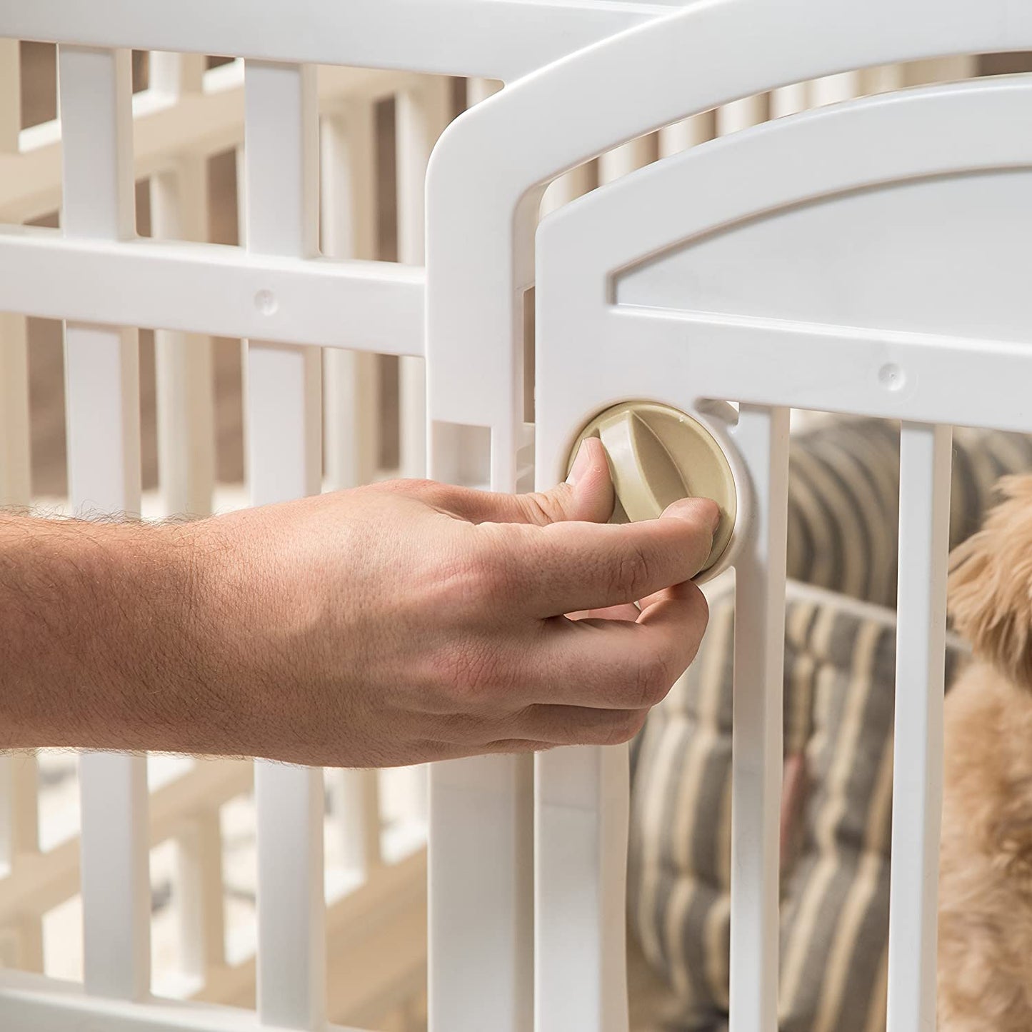 Playpen with Door