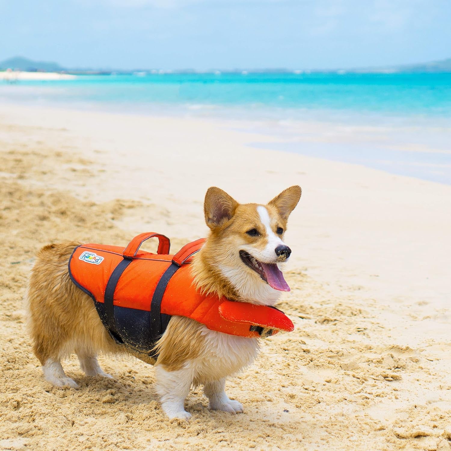 Modern Dog Life Jacket