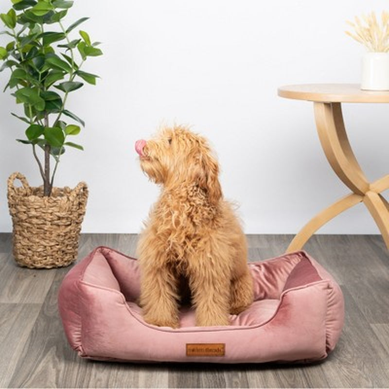 Modern Luxury Cuddler Dog Bed