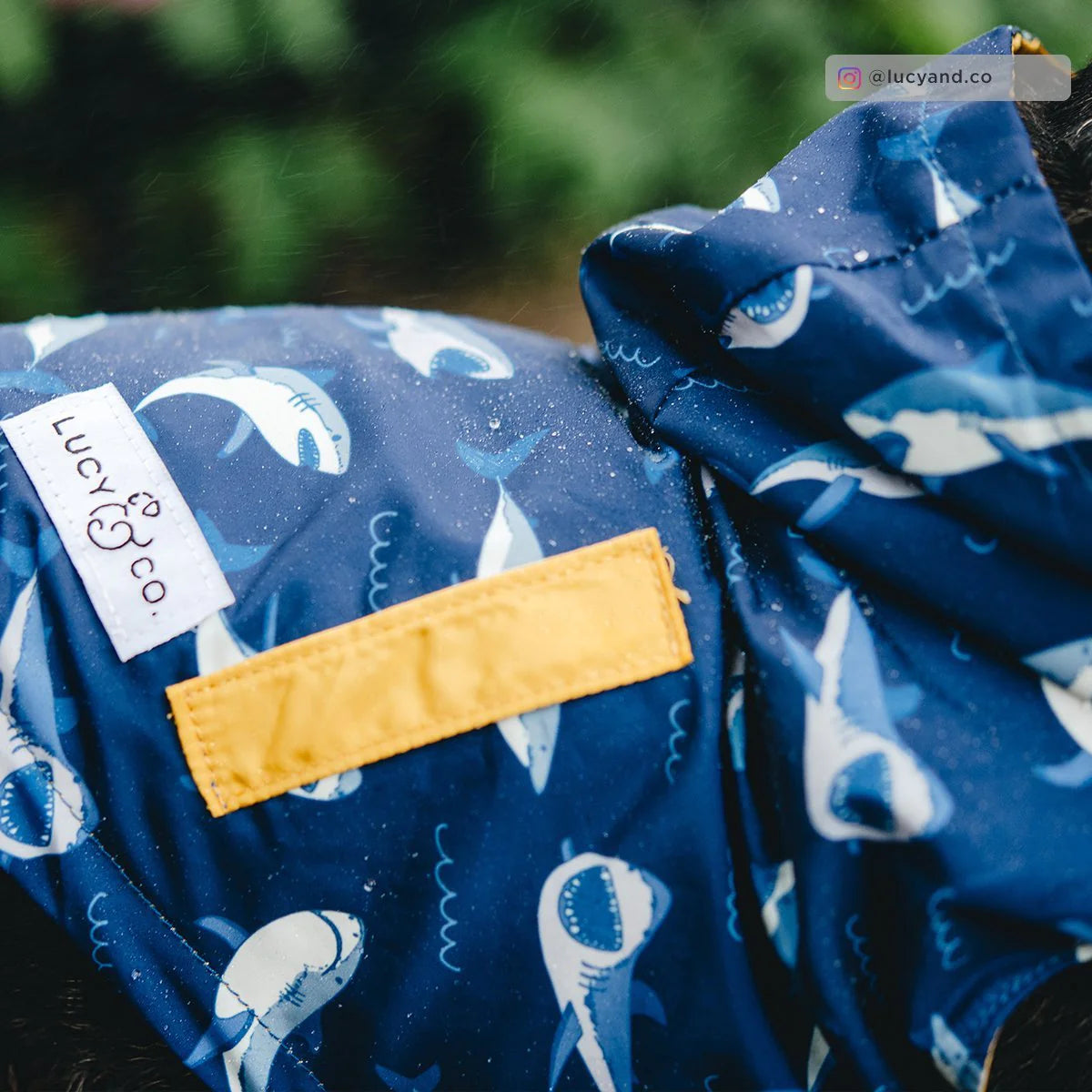 The Shark Attack Reversible Raincoat