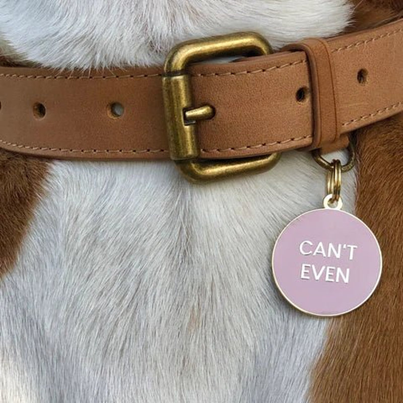 Can'T Even Dog ID Tag