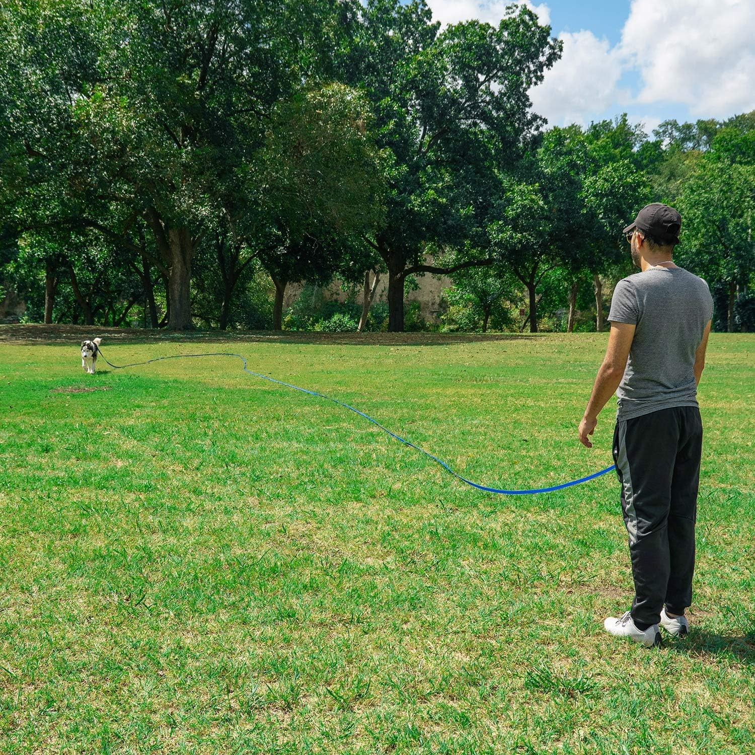 Dog Obedience Recall Training Leash 30 ft