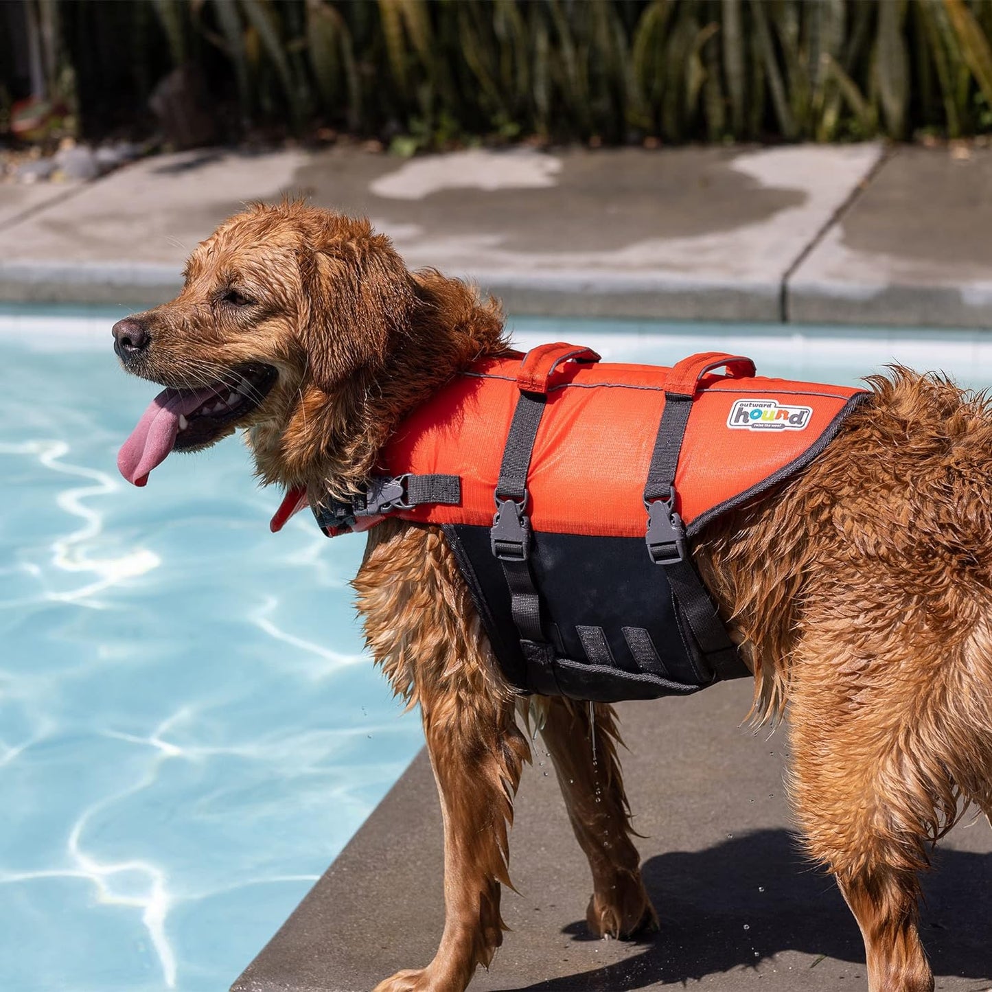 Modern Dog Life Jacket