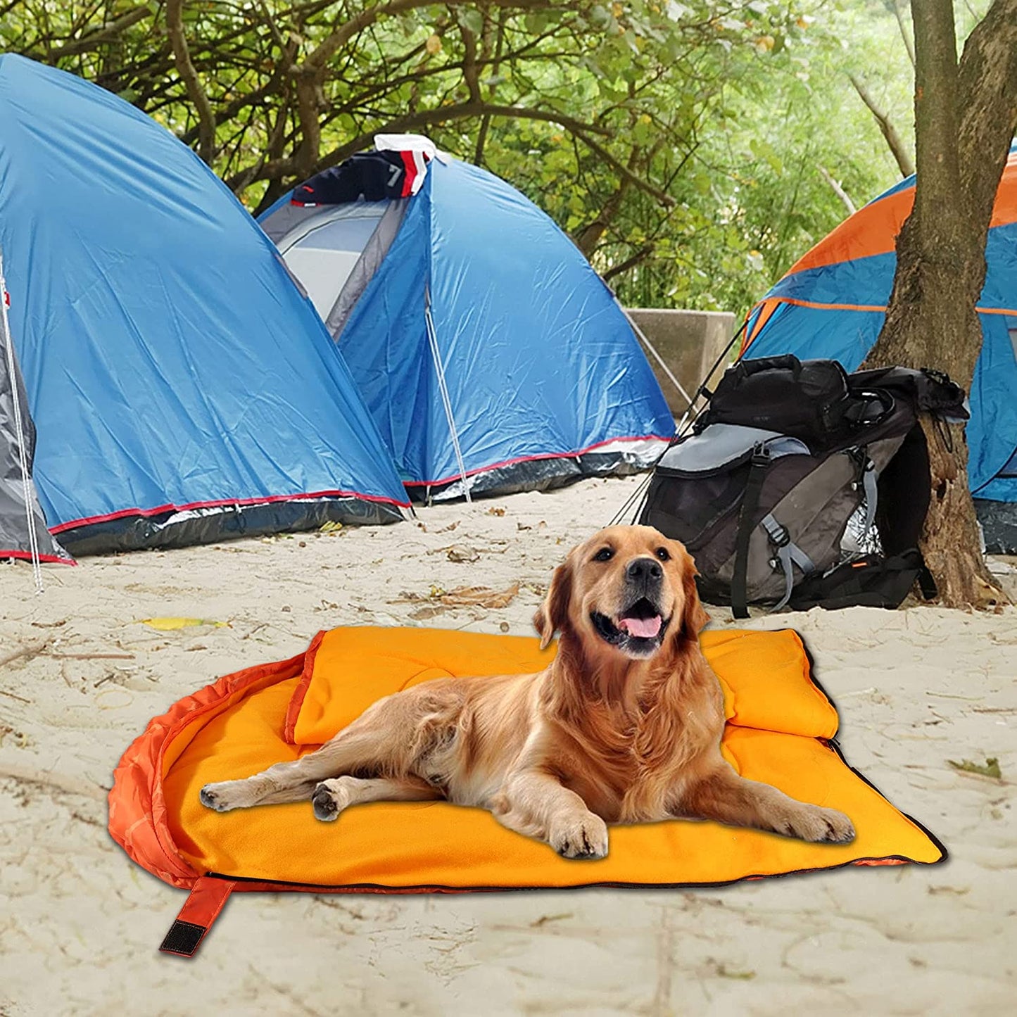 Modern Dog Sleeping Bag