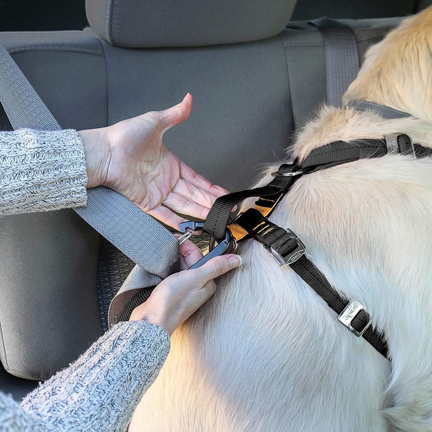 Dog Safety Seat Belt