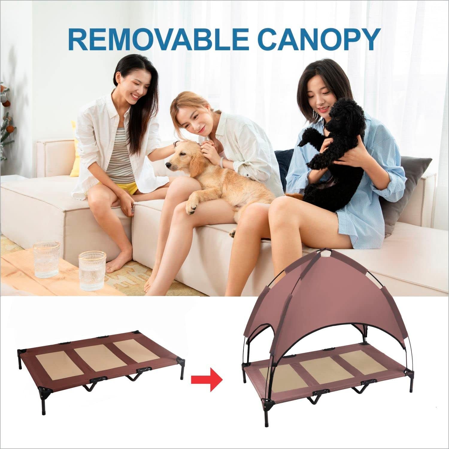 Modern Elevated Dog Tent