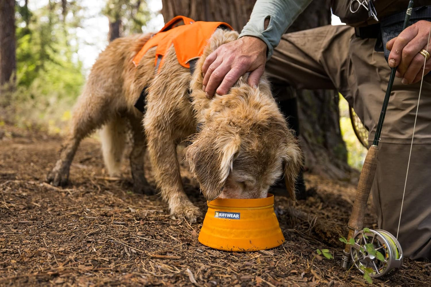 Modern Collapsible Ultralight and Packable Dog Bowl