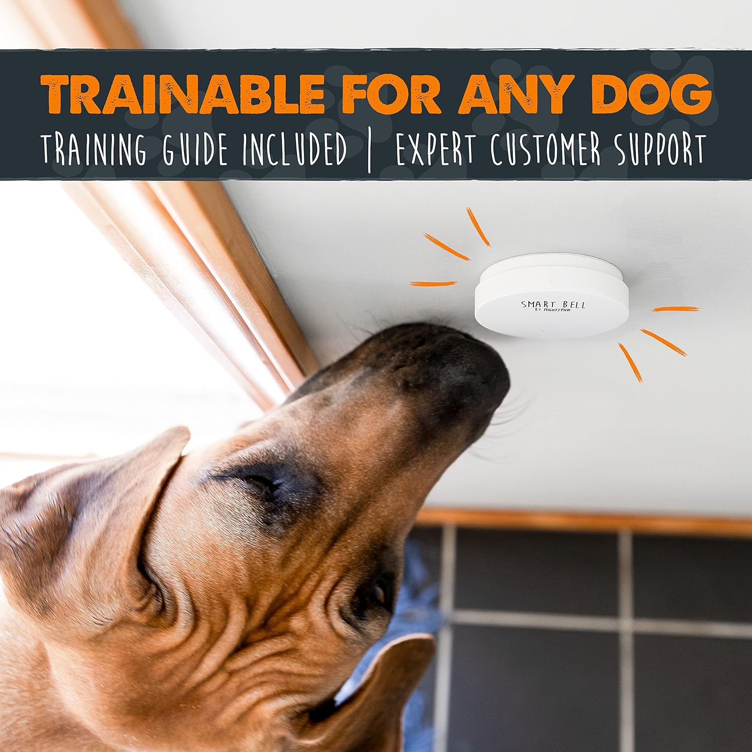 Smart Dog Wireless Door Bell 2.0  - Potty Training Bell for Puppies 