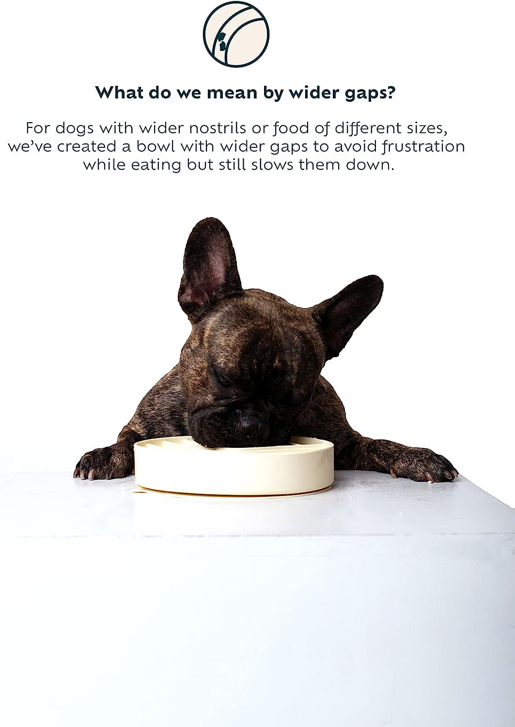 Teal Slow Feeder Dog Bowl with Spatula