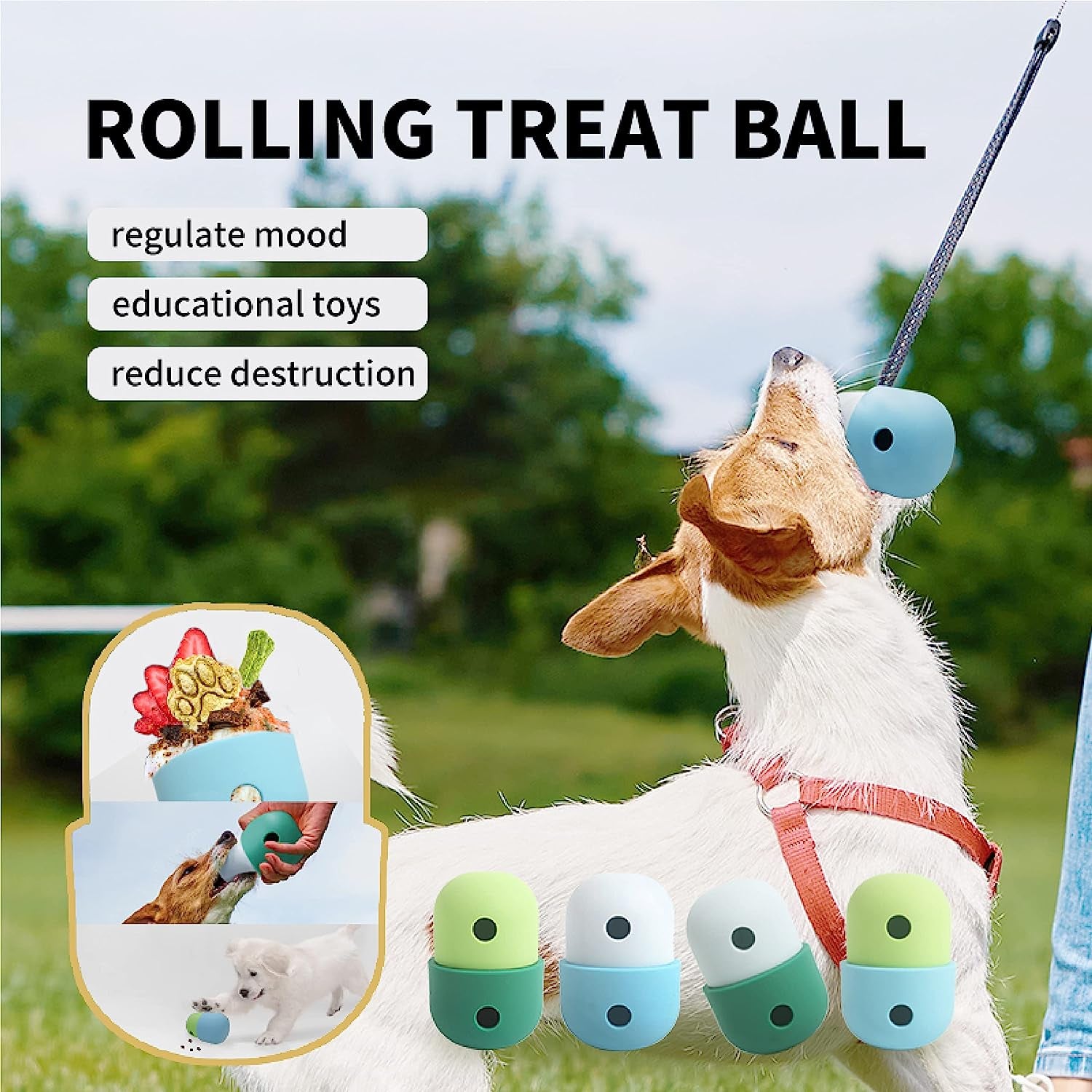 Teal & Baby Blue Modern Dog Treat Dispenser