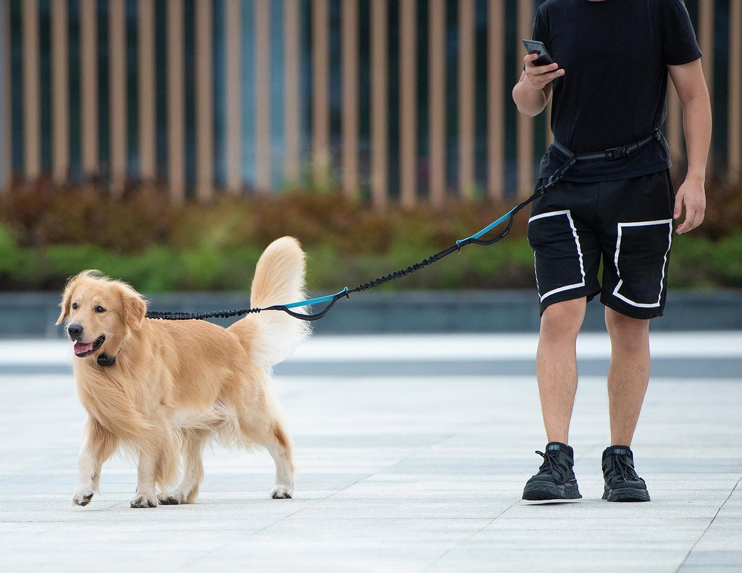 Hands Free Dog Leash with Zipper Pouch